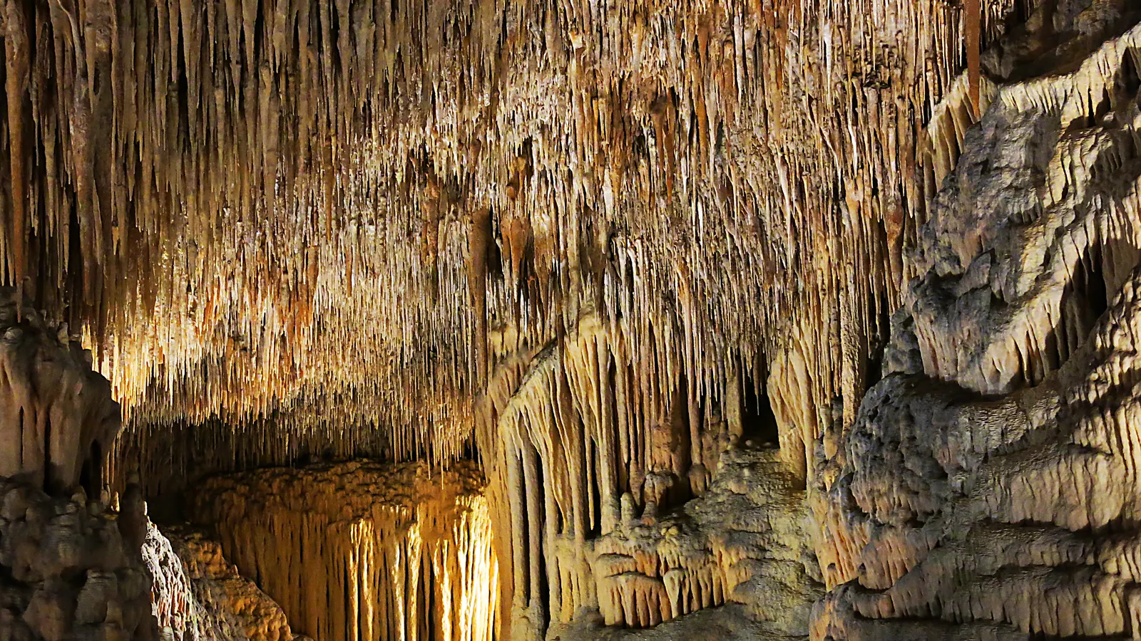 A dense curtain of fine stalactites on the ceiling of the Caves of Drach on Mallorca