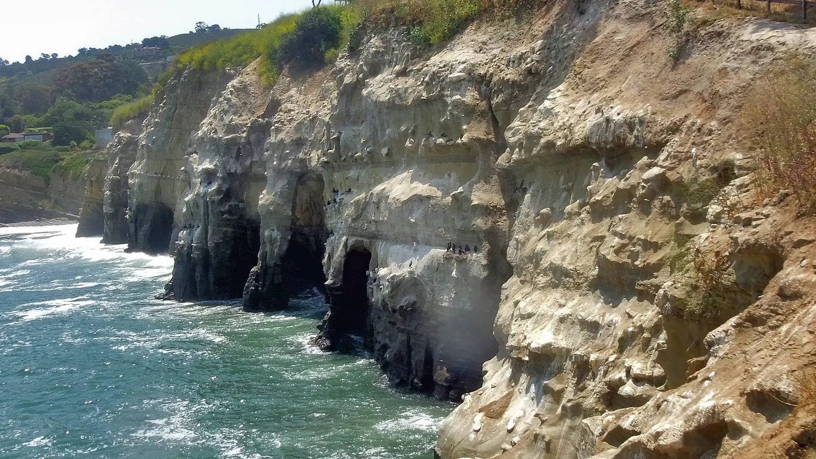 The sandstone cliff at La Jolla with the mouths of the sea caves above the surf