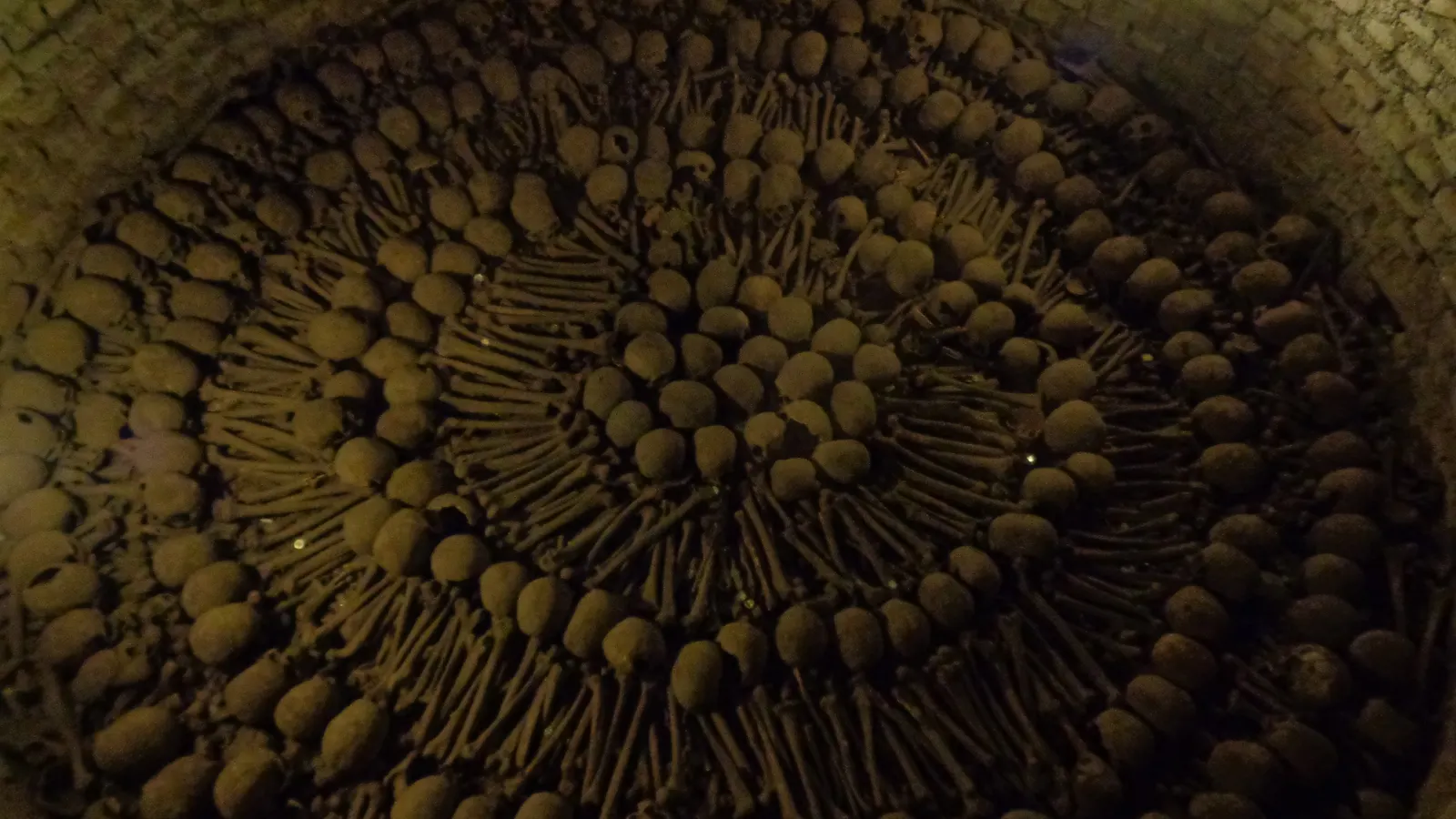 Skulls and femurs laid out in concentric rings in the bone well beneath the San Francisco monastery in Lima