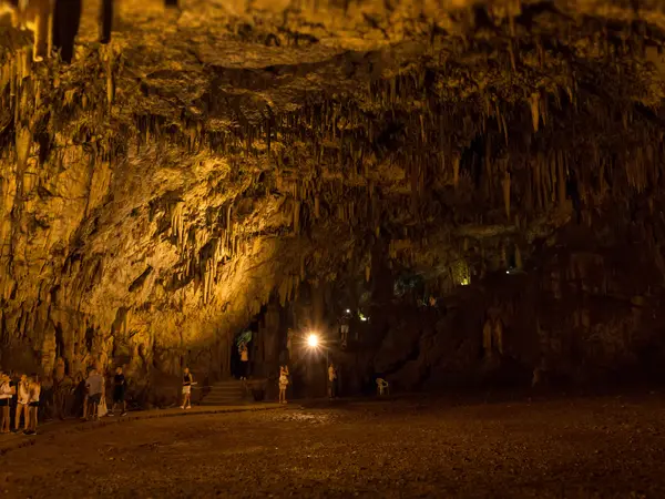 The vast main chamber of Drogarati Cave near Sami, its ceiling hung with stalactites above a lit visitor path.