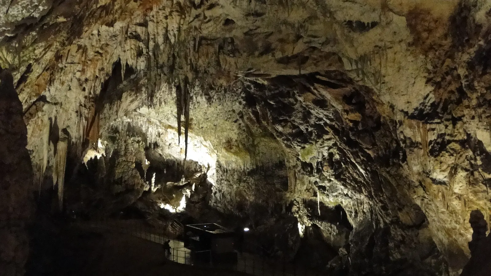 A large dripstone hall with the visitor path in Postojna Cave